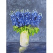 Delphiniums Thumbnail