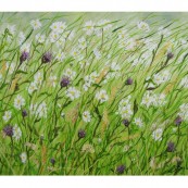 Daisies & Knapweed Thumbnail