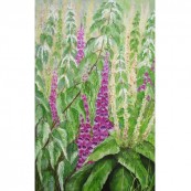 Foxgloves & Nettles Thumbnail