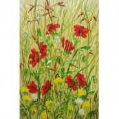 Poppies & Dandelions Thumbnail