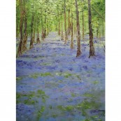 Bluebell Wood Gotherington Thumbnail