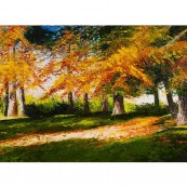 Stratford Park Trees Thumbnail