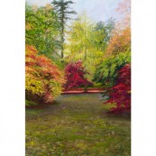 Westonbirt Trees Thumbnail