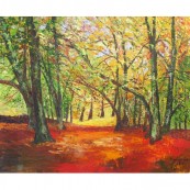 South Downs in Autumn Thumbnail